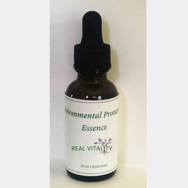 Environmental Protection Essence
