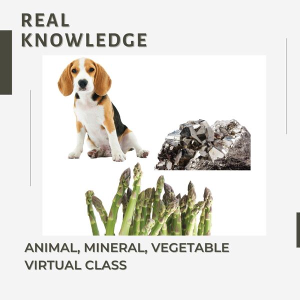 Animal, Mineral, Vegetable Virtual Class