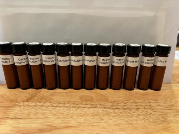 Cell Salt Kit - Image 2