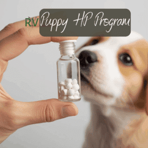 HP for Program for Puppies