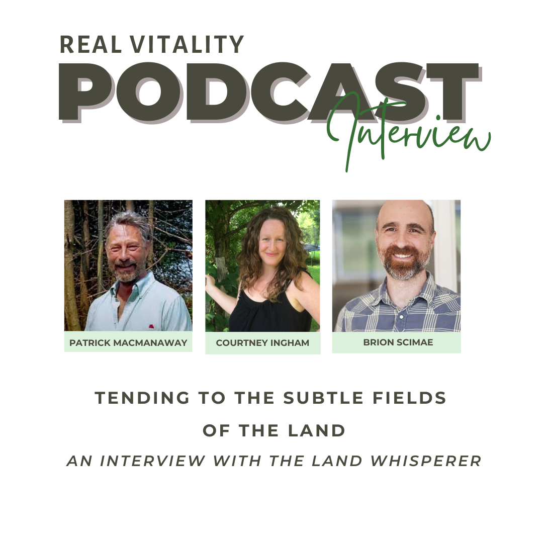 POdcast (5)