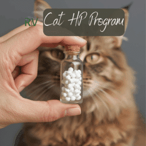 HP for Program for Cats