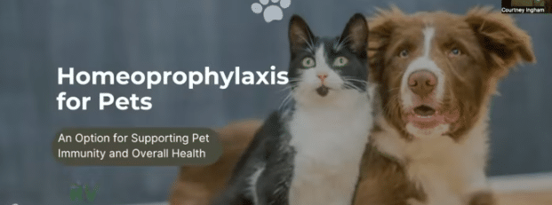 Screen Shot 2025-12-05 at 6.01.48 PM